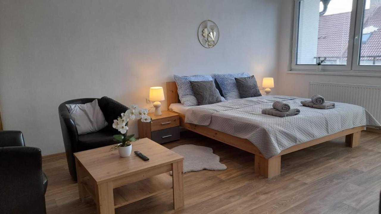 Černá v Pošumaví Tina Apartments المظهر الخارجي الصورة